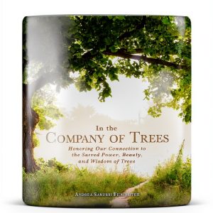 Botany of Trees Adams Media Kindle eBook Guide-0
